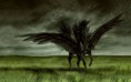 /album/wallpapers/fantasy-schwarzer-pegassus-jpg/